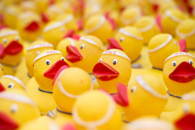 Duck Race